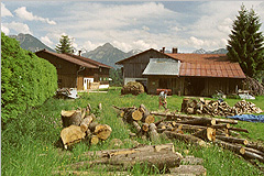 Bei Tiefenbach/Oberallgäu